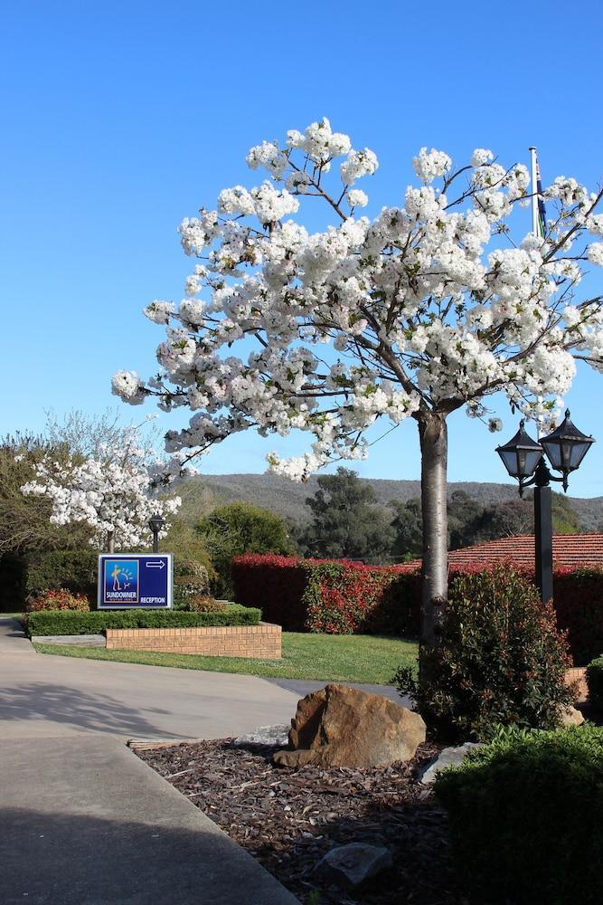 Hume Country Motor Inn Άλμπουρι Εξωτερικό φωτογραφία